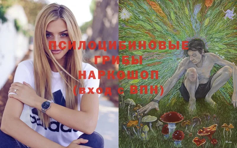 Галлюциногенные грибы Psilocybe Бронницы